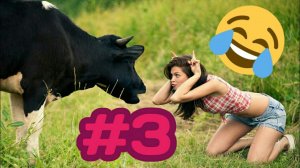 приколы с животными 3_ tik tok funny #tiktok