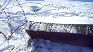 Укрытие винограда на зиму Агроволокном туннельным способом.