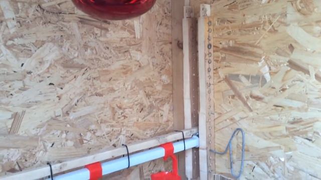 Брудер для цыплят своими руками с терморегулятором. смотреть онлайн