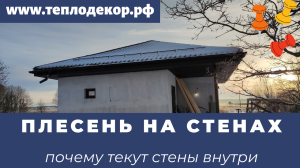 Грибок и плесень на стенах, что делать в таких случаях.