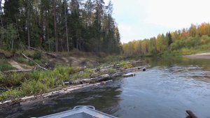 Рыбалка на р. Пильва .