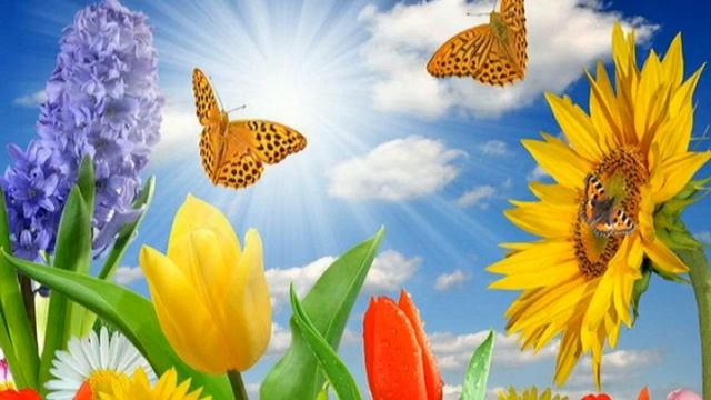 Медитация "Дышу, значит, я живу!» смотреть онлайн