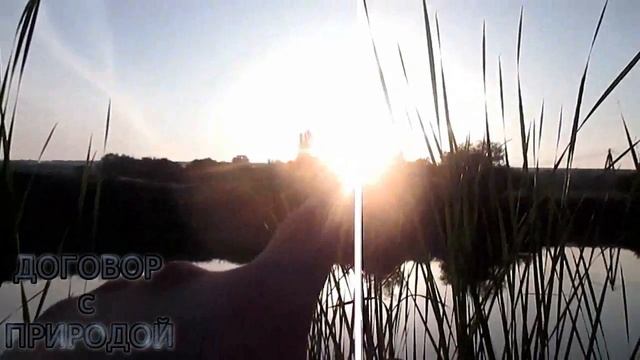 В ЛУЖЕ ловим карасей. ''Дикая рыбалка''. Сезон 2018