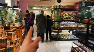 ОБЗОР САМОГО БОЛЬШОГО МАГАЗИНА ЭКЗОТИЧЕСКИХ ЖИВОТНЫХ В ПИТЕРЕ! Хамелеоны, змеи, агамы - экзотика!