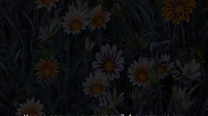 Газания — что это, описание, однолетник или многолетник