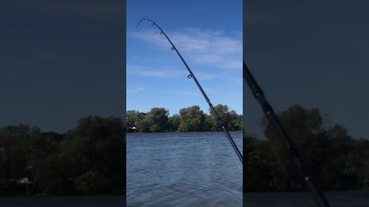 ОГРОМНЫЙ ТРОФЕЙ / НЕПОДЪЁМНАЯ РЫБА смотреть онлайн