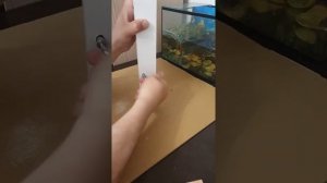 Медальница своими руками.