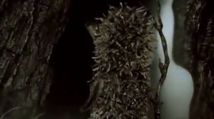 Ёжик в тумане 1975 XviD DVDRip