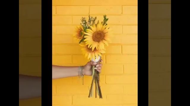 ~жёлтые эстетичные обои~ ×4 минуты× смотреть онлайн