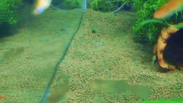 Презентация канала часть 2 смотреть онлайн