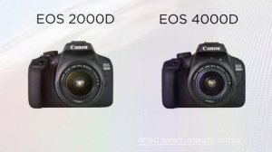 Сравнение камер Canon EOS 2000D и EOS 4000D