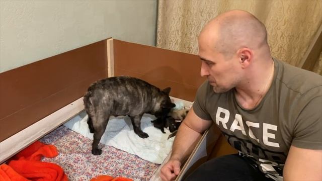 Роды Буси смотреть онлайн