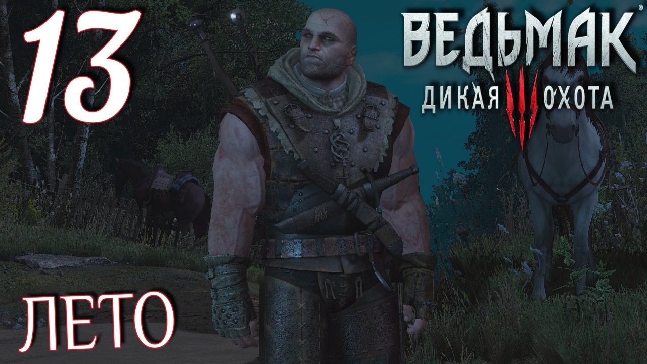 полное прохождение the witcher 3 фото 20