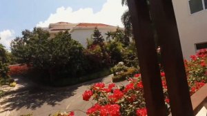 Отель GUEST HOUSE 4* (Хайнань) Китай