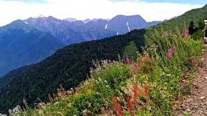 Бзерпинский поход 1.