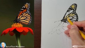 обзор карандашей призмаколор карандаши prismacolor 72