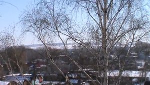 Пермские голуби. посадка.