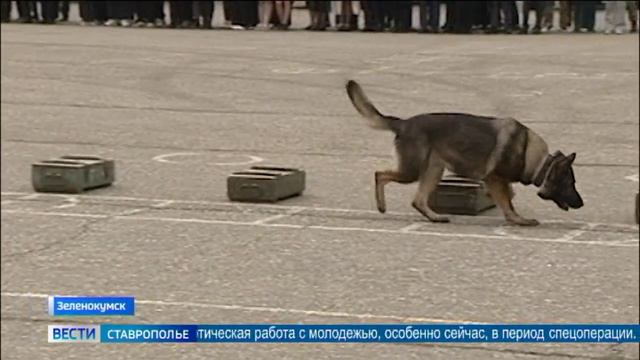 День призывника прошел в инженерно-саперном полку Росгвардии