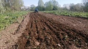 Мтз 80 б.у обновы в види навесного оборудование и работа с самодельный бороной.