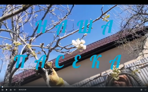 Крайний ролик по сыте и не только