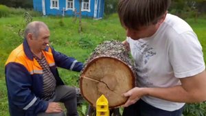 Дровокол в действии.