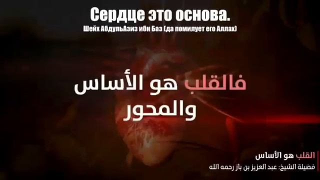 ТАУХИД ЕДИНОБОЖИЕ 🇸🇦 смотреть онлайн