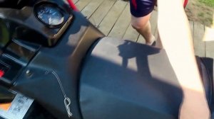 Регион 88 | Stels Мороз