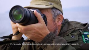 Фильм 'Заповедный век'