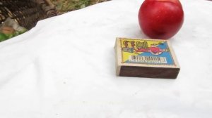 Сорт алычи Генерал