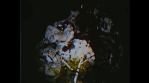 КТО ТАКОЙ СИРЕНОГОЛОВЫЙ ✓ КТО ТАКИЕ SCP ✓ ИСТОРИЯ ПЕРСОНАЖА