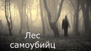 "Аокигахара". Мистическая история.