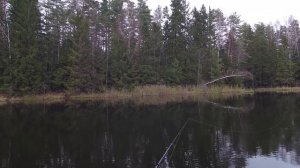 Ловля судака осенью.  ЧАСТЬ 1