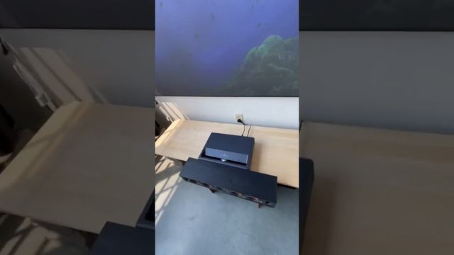 Xiaomi Mijia 4K Projector - Daytime on a 100" Elite Screens CLR Screen