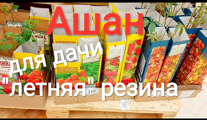 АШАН. ДЛЯ ДАЧИ. ЛЕТНЯЯ РЕЗИНА. ЦЕНЫ.