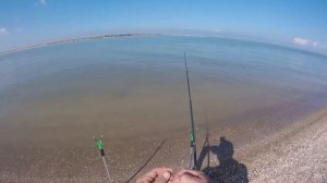 Азовские бычки