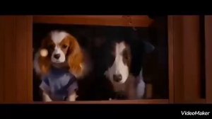 Обзор фильма Ёлки лохматые (2014)