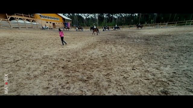 Конно-Спортивный Комплекс "Город Спорта" (09.06.16) смотреть онлайн