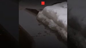 Осман Делибаш установила женский рекорд – целый час просидела в ледяной воде. Девушка – инструктор