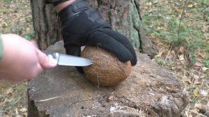 Бюджетка рулит. Нож BEGLEITER Kizer Cutlery