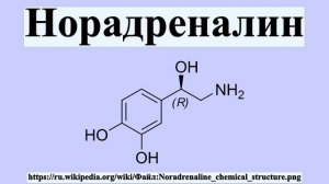 Норадреналин