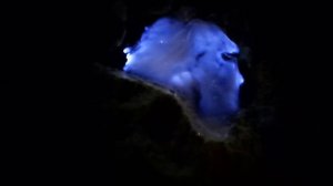 Горение коллоидной серы