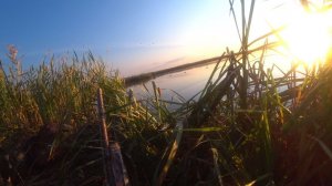 О канале, за 2 минуты.