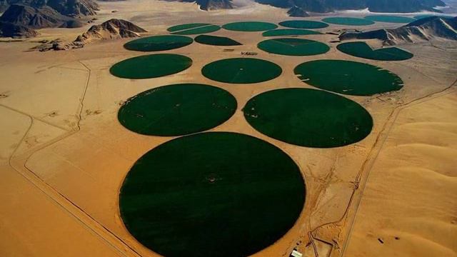 Земля с высоты птичьего полета. Фотограф Yann Arthus-Bertrand.wmv