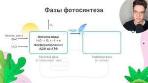 ФОТОСИНТЕЗ | ЕГЭ ОГЭ Биология