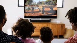 South Africa for kids – an amazing and quick guide to South Africa