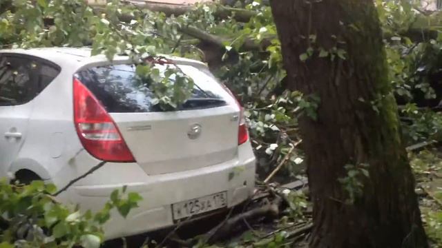 СПб упало дерево на 4 машины смотреть онлайн