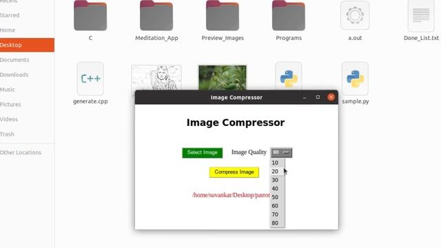 An Image Compressor App in Python | Tkinter and Pillow | Tkinter Project | PySeek