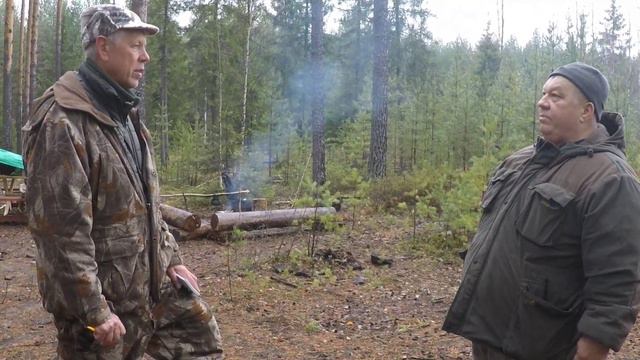 20.10.23г. Городецкие👊ПРЯНИКИ🥮 на состязаниях гончих в Урене!!! смотреть онлайн