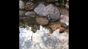 Пульсирующий источник. Телецкое озеро. Сентябрь 2019.