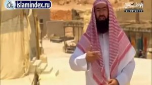 Сира (2 из 30)_ История владельцев слона